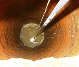 Limpa Fossa